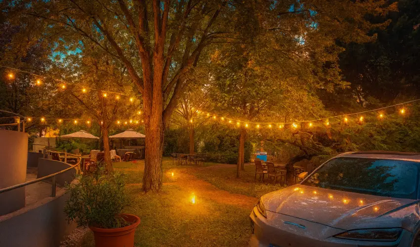 Pl�za Hotel Gyula Gyula - H�sv�t (min. 3 �j)