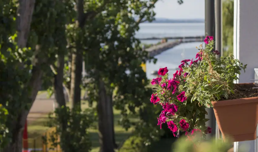 Port tterem & Panzi Balatonmriafrd - Hsvt