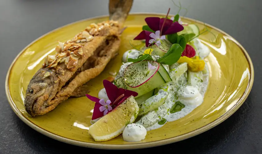 Port tterem & Panzi Balatonmriafrd - Hsvt