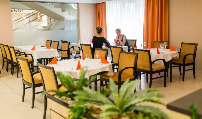 Harknyi Psoriasis Centrum Harkny - Hsvt (min. 2 j)