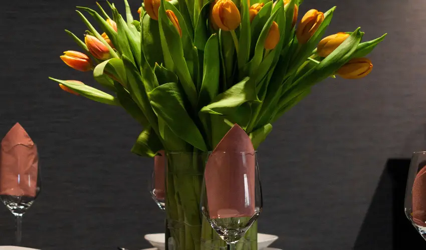 R31 Residence S�rv�r - H�sv�t (min. 2 �j)