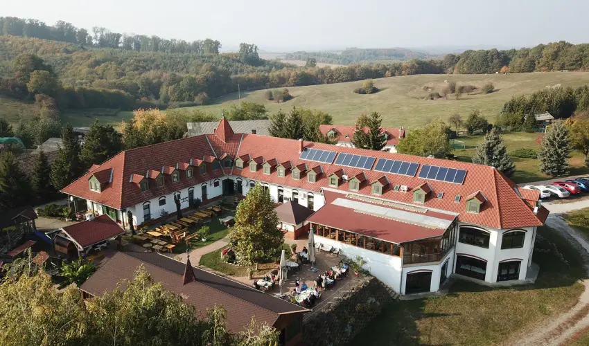 Rcz Tanya Orf - Hsvt