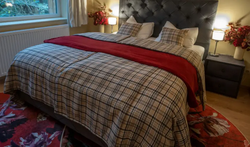 reBORONA Vendghz rsg riszentpter - Hsvt (min. 2 j)