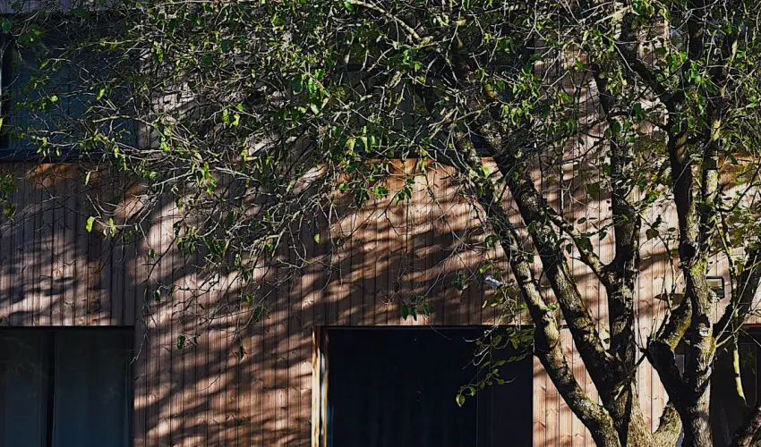 reBORONA Vendghz rsg riszentpter - Hsvt (min. 2 j)