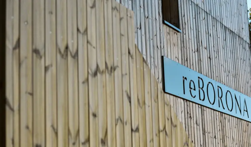 reBORONA Vendghz rsg riszentpter - Hsvt (min. 2 j)