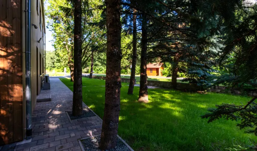 reBORONA Vendghz rsg riszentpter - Hsvt (min. 2 j)