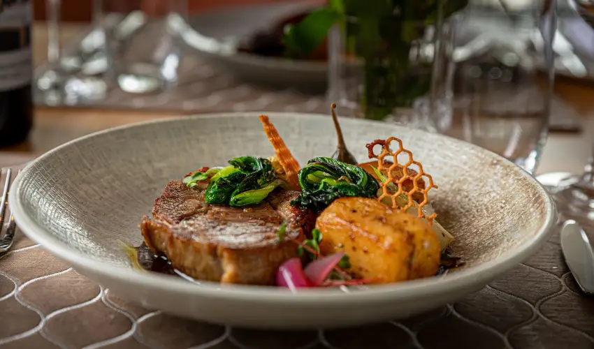 REED Luxury Hotel & Bistro Sifok - Hsvt (min. 2 j)