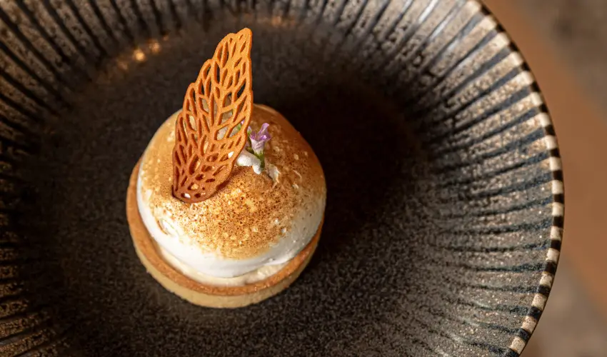 REED Luxury Hotel & Bistro Sifok - Hsvt (min. 2 j)