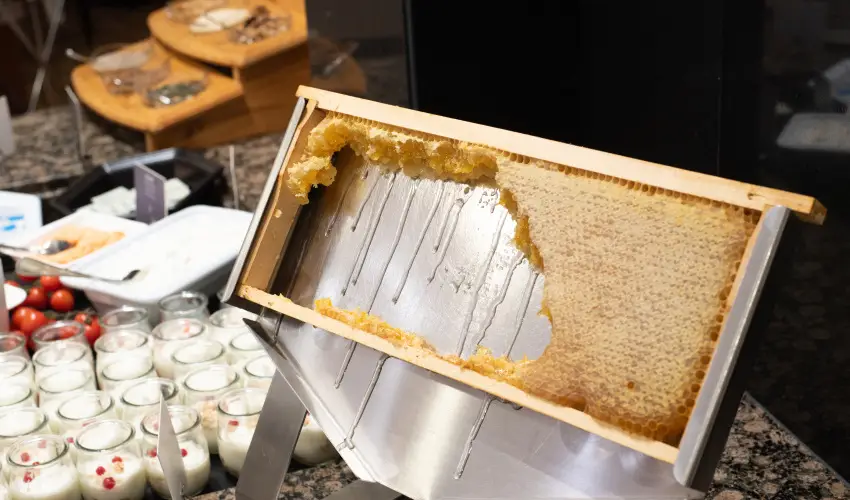 Lotus Therme Hotel & Spa Hvz - Hsvt (min. 3 j)