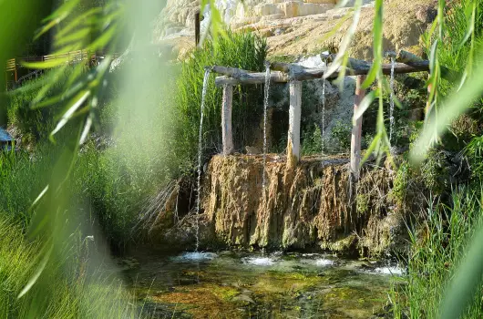 Hunguest Saliris - Hsvt (min. 3 j)