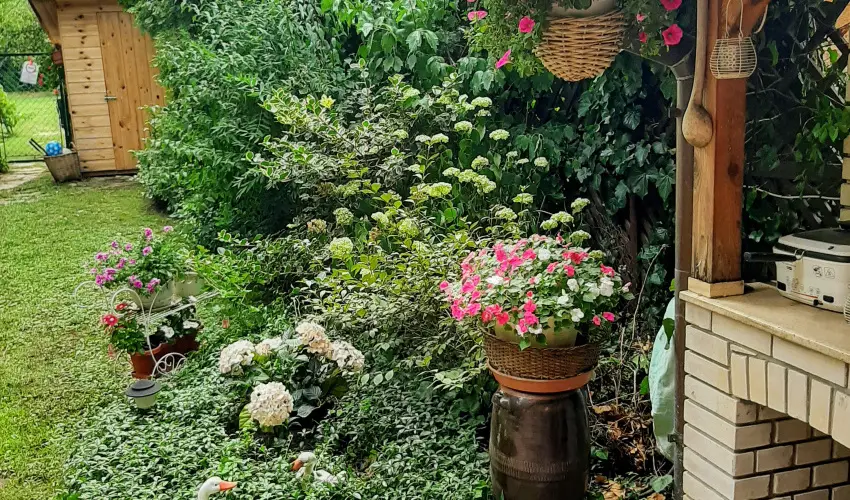 Siesta Vendghz Eger - Hsvt (min. 2 j)