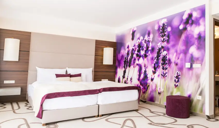 Ambient Hotel & ThermalSPA**** Sikonda - Hsvt (min. 2 j)