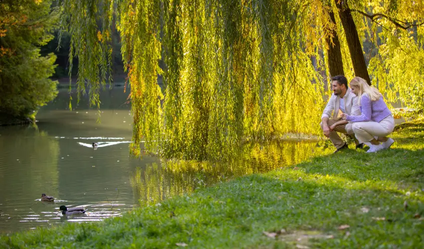 Ambient Hotel & ThermalSPA**** Sikonda - Hsvt (min. 2 j)