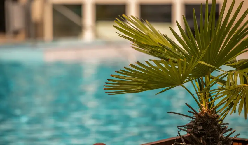 Ambient Hotel & ThermalSPA**** Sikonda - Hsvt (min. 2 j)