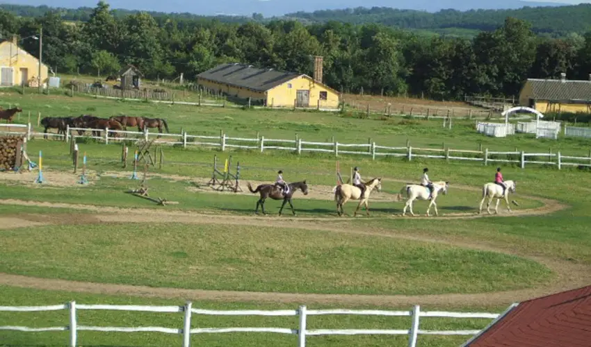 Sokor Fogad Sokorptka - Hsvti kavalkd (min. 3 j)