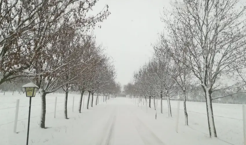 Sokor Fogad Sokorptka - Hsvti kavalkd (min. 3 j)