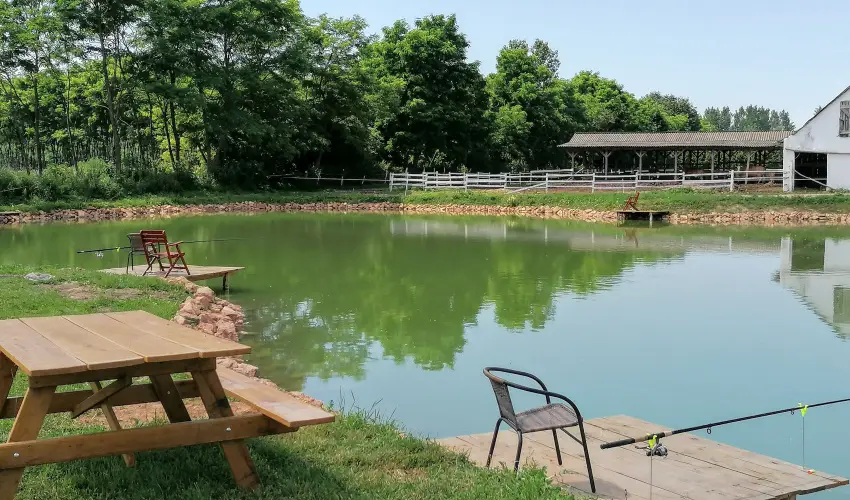 Sokor Fogad Sokorptka - Hsvti kavalkd (min. 3 j)