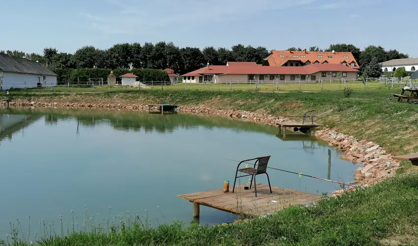 Sokor Fogad Sokorptka - Hsvti kavalkd (min. 3 j)