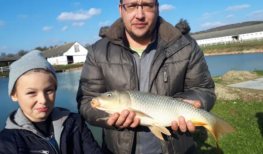 Sokor Fogad Sokorptka - Hsvti kavalkd (min. 3 j)