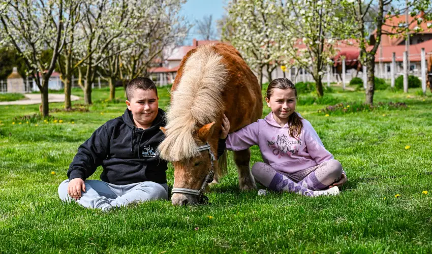 Sokor� Fogad� Sokor�p�tka - H�sv�t