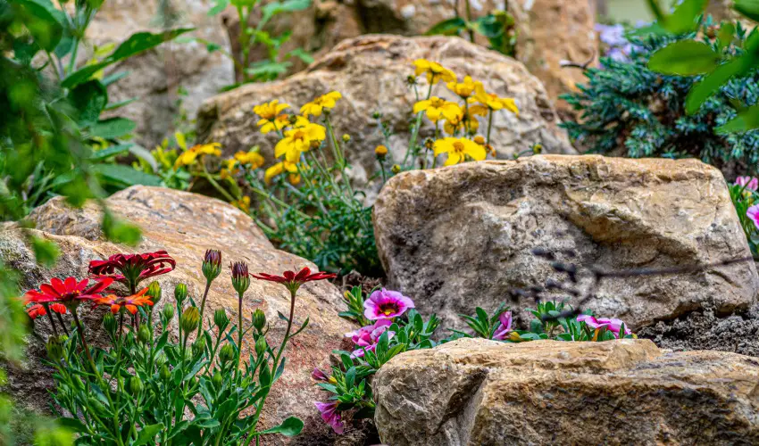 SunGarden Wellness Hotel Si�fok - H�sv�t (min. 3 �j)