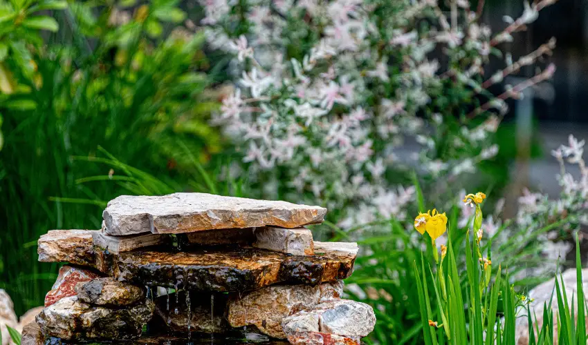 SunGarden Wellness Hotel Si�fok - H�sv�t (min. 3 �j)