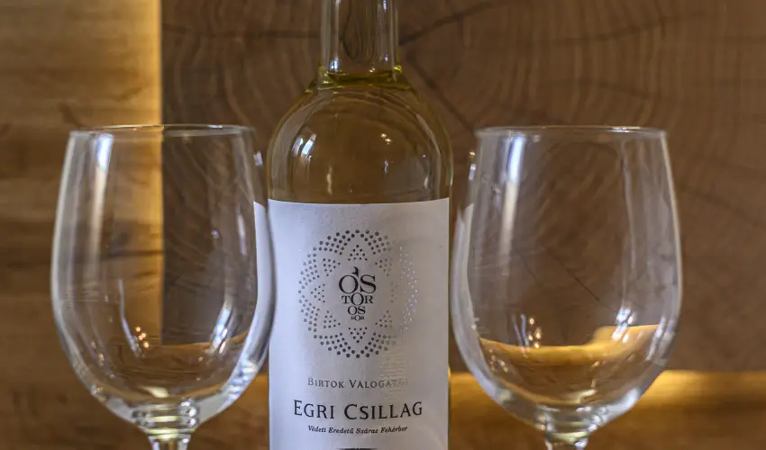 Sweet-Life Wellness Apartman Egerszal�k - H�sv�t