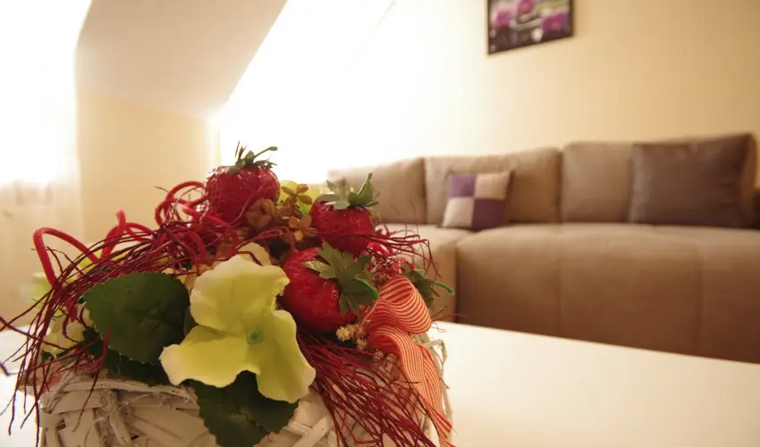 Szam�c�s Apartman Gyula - H�sv�t (min. 2 �j)