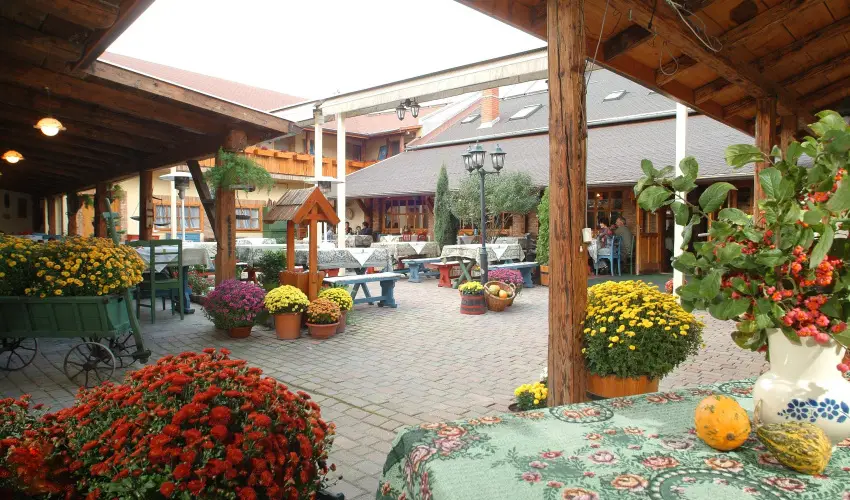 Sz�rcsa Hotel Sz�kesfeh�rv�r - H�sv�t (min. 3 �j)