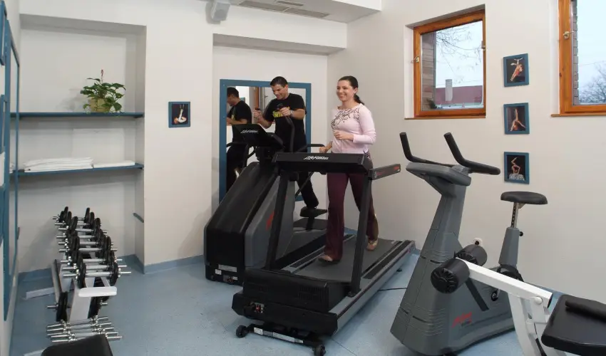 Sz�rcsa Hotel Sz�kesfeh�rv�r - H�sv�t (min. 3 �j)