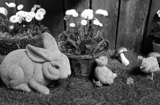 Sz�rcsa Hotel - H�sv�t (min. 3 �j)