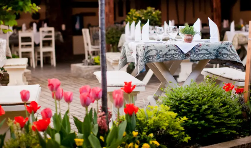 Sz�rcsa Hotel Sz�kesfeh�rv�r - H�sv�t (min. 3 �j)