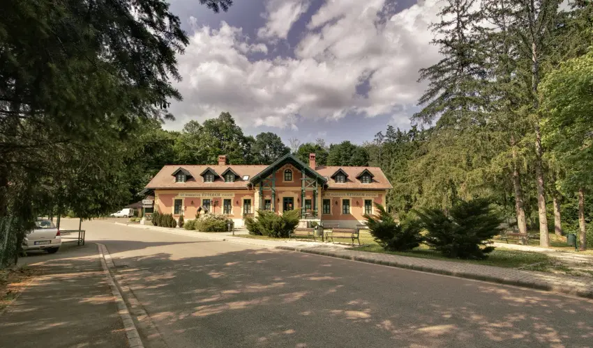 Szent Hubertus Panzi� Par�dsasv�r - H�sv�t (min. 2 �j)