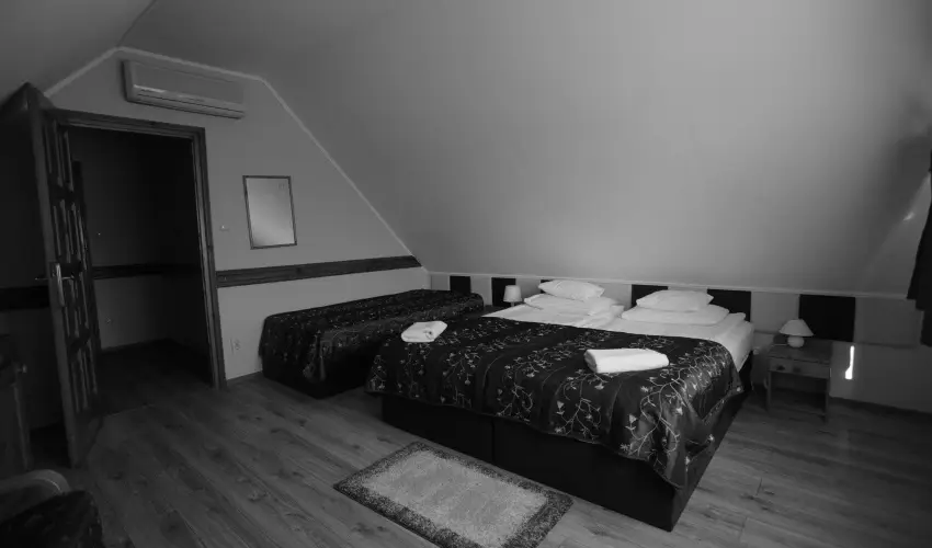Szent Istv�n Hotel Eger - H�sv�t