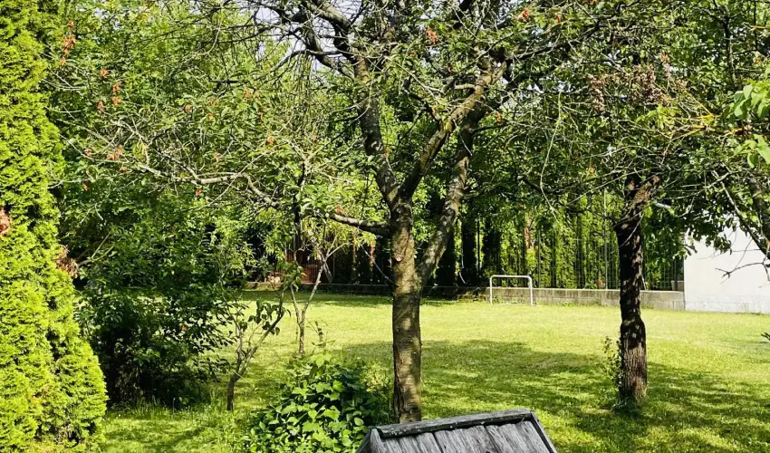 Szilv�sv�rad Camping & Apartman Szilv�sv�rad - H�sv�t