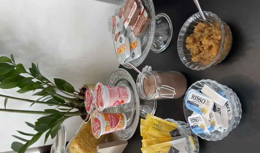 Svirg Terml Panzi Hajdnns - Hsvt