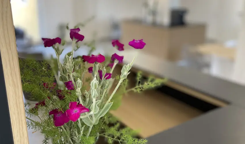 Svirg Terml Panzi Hajdnns - Hsvt