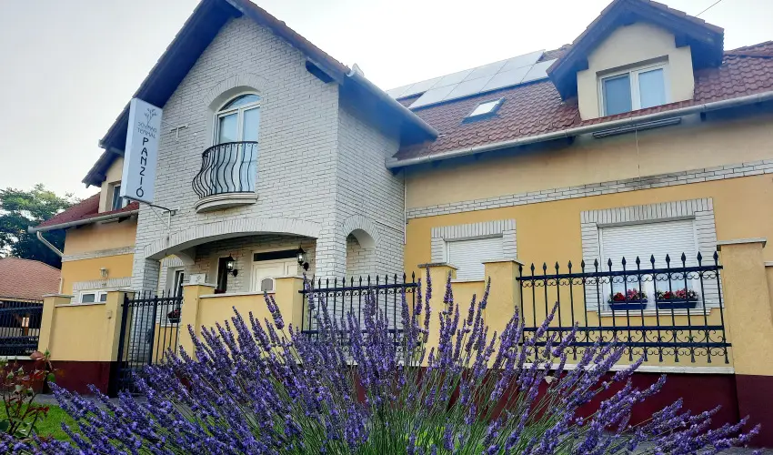 Svirg Terml Panzi Hajdnns - Hsvt