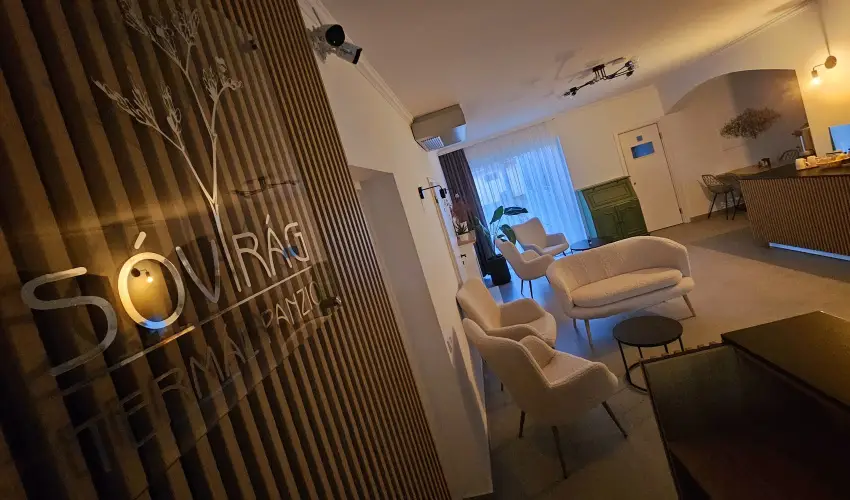 Svirg Terml Panzi Hajdnns - Hsvt