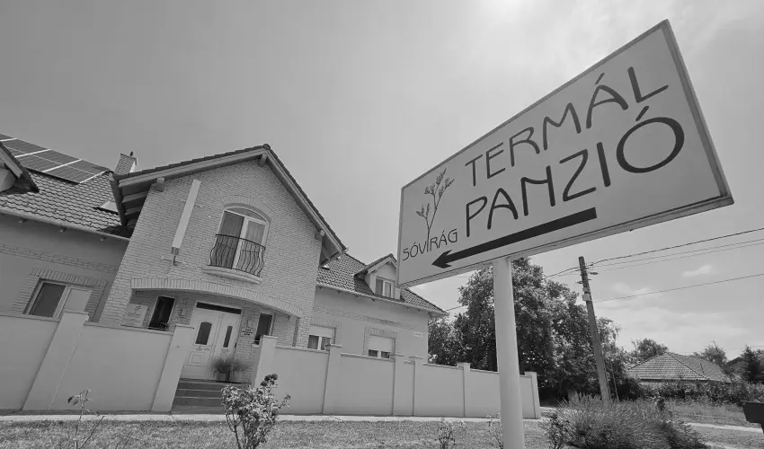 S�vir�g Term�l Panzi� Hajd�n�n�s - H�sv�t