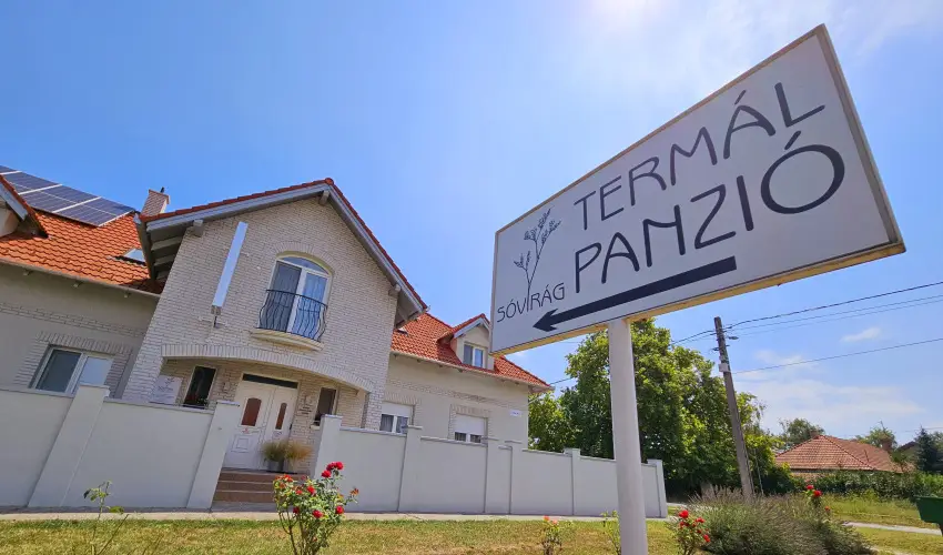 Svirg Terml Panzi Hajdnns - Hsvt