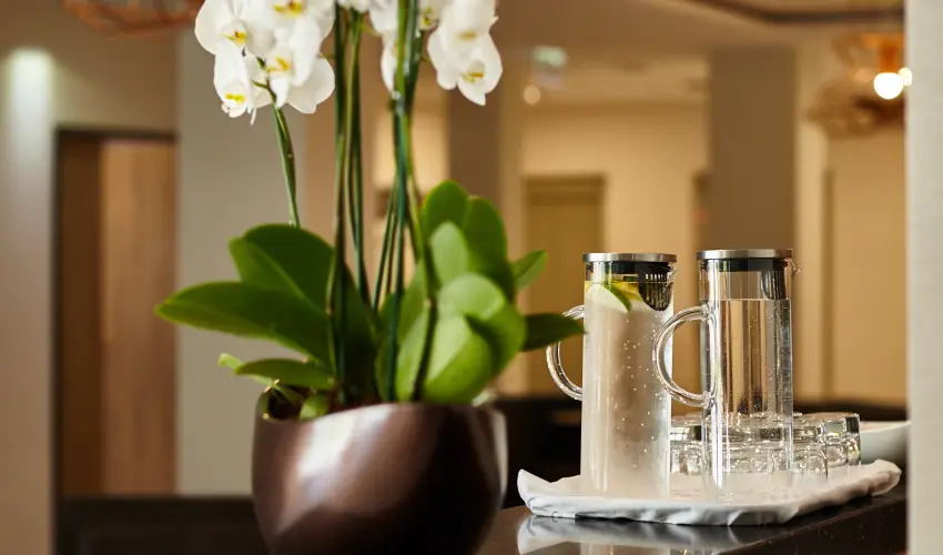 Thermal Hotel Balance  Lenti - Hsvt (min. 2 j)