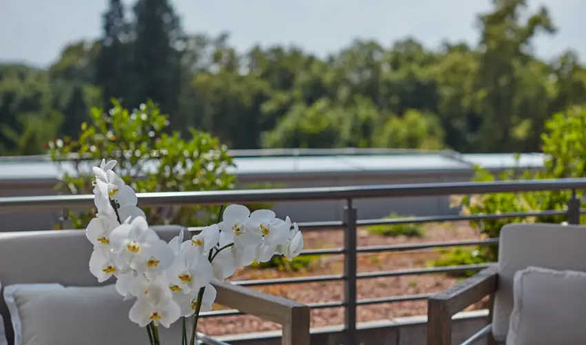 Thermal Hotel Balance  Lenti - Hsvt (min. 2 j)