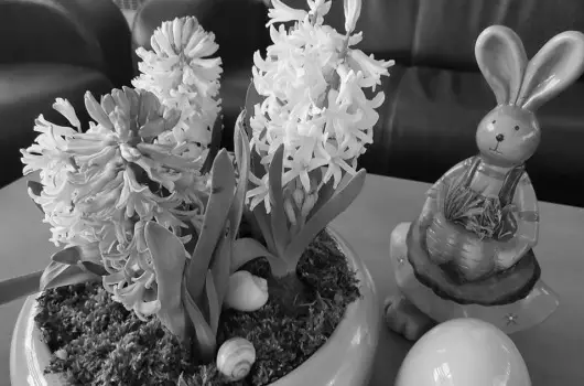 Belenus Thermalhotel Superior - H�sv�t (min. 3 �j)