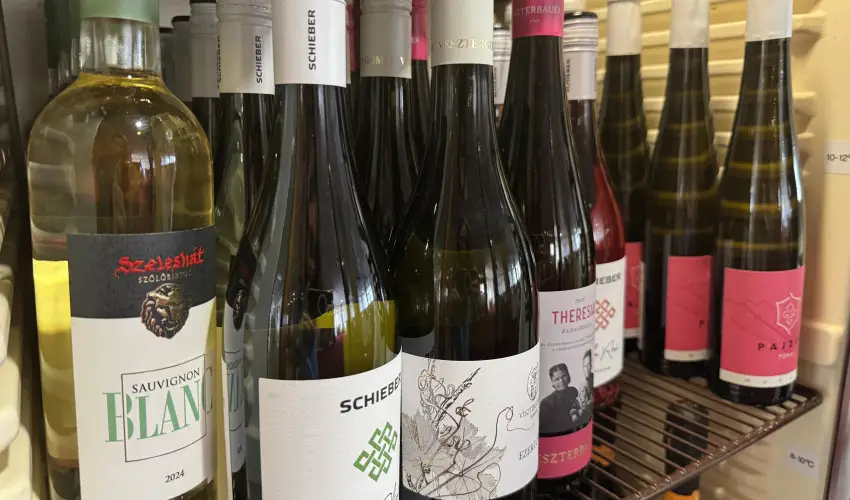 Thermal Hotel Tengelic Tengelic - H�sv�t