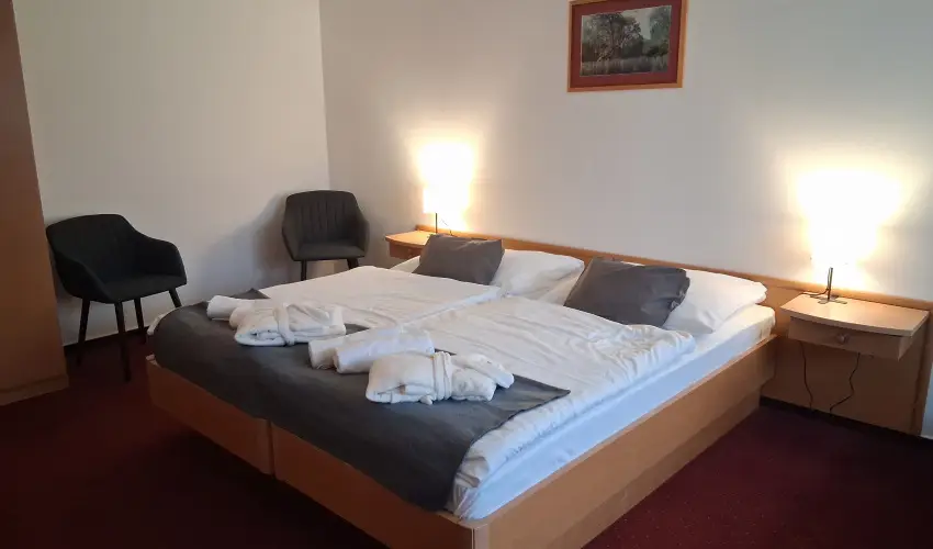 Thermal Hotel Tengelic Tengelic - H�sv�t