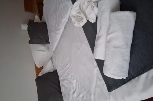 Thermal Hotel Tengelic - H�sv�t