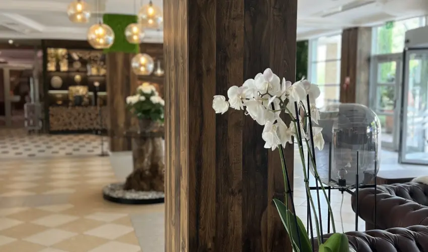 Thermal Hotel Visegrd Visegrd - Hsvt (min. 3 j)