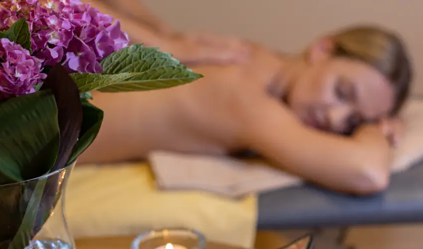 Thermal Hotel Visegrd Visegrd - Hsvt (min. 3 j)