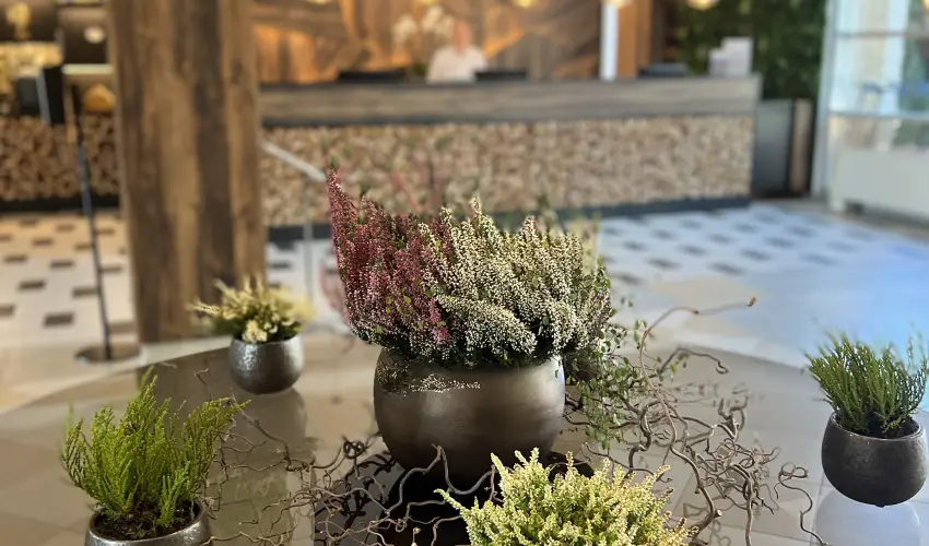 Thermal Hotel Visegrd Visegrd - Hsvt (min. 3 j)